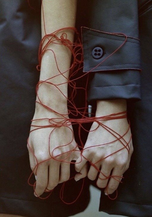 Дай мне повод