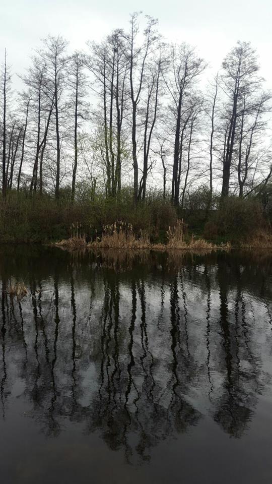 Светлые и тёмные гости