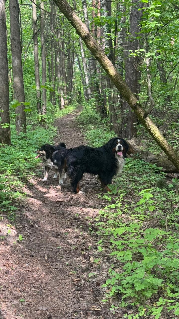 Держим кулачки