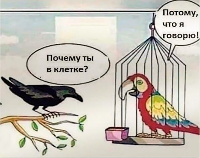 Общая и частная теория абсурда