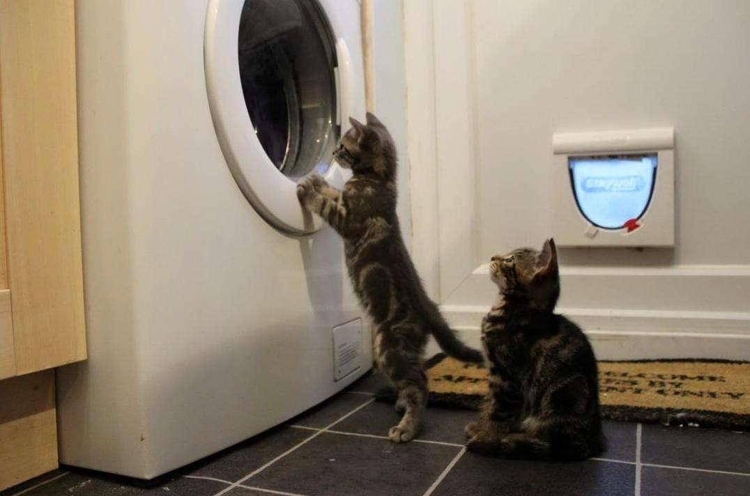 Сколько стирки накопилось...