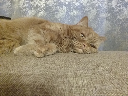 Правила игры. Эпизод 8-й. Письмо