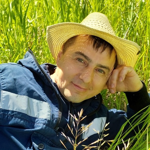 Лев и хитрый лис