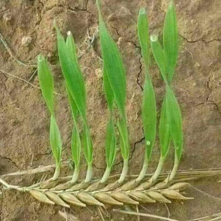 Еще не эпилог