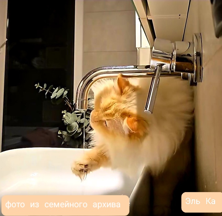 Маленькие утренние радости