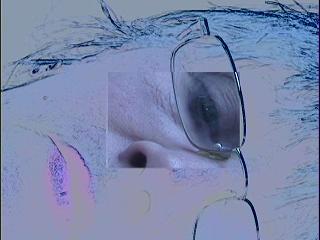 Глава 35. Глобалисты