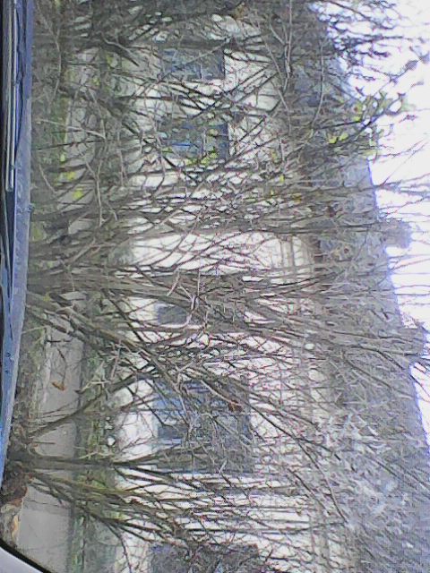 Брат доброго Геры - 24