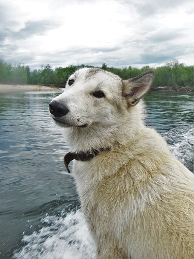 Бог молчит. Часть 1