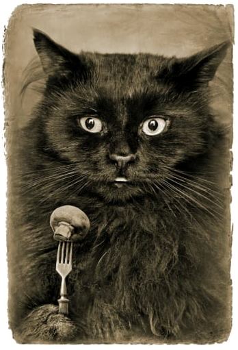 Листок, край тумбочки, будильник...