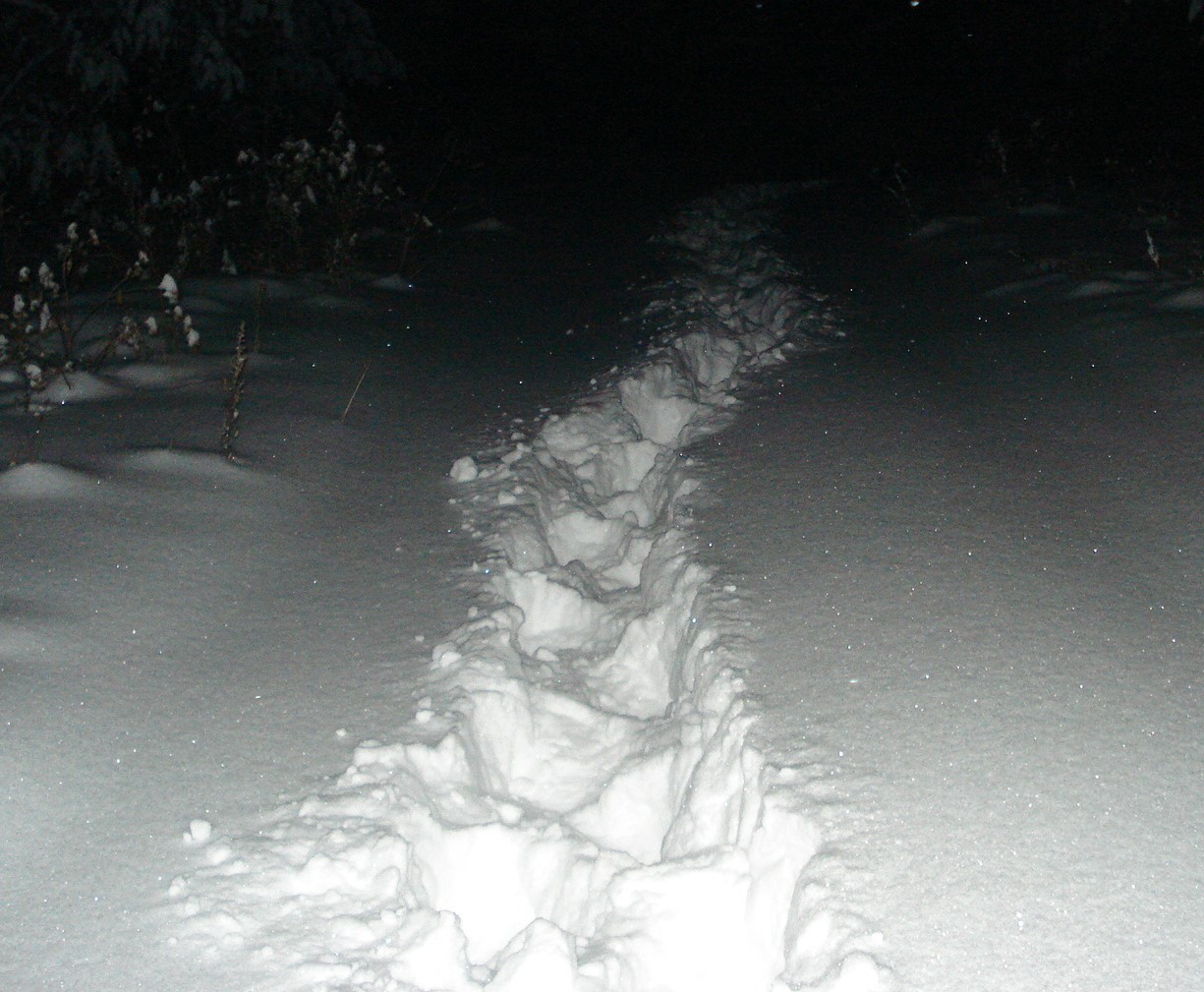 И тьма поглотила его