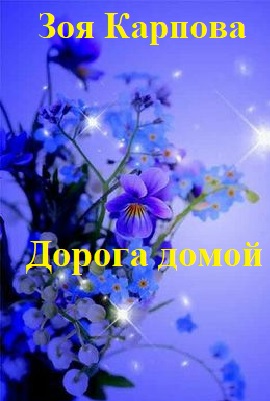 Дорога домой