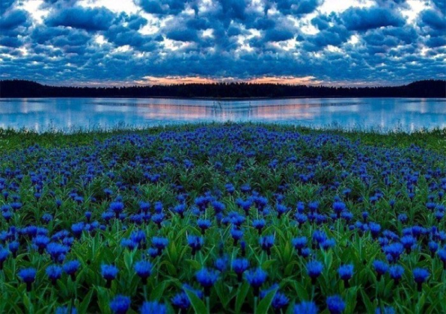 Немного для счастья