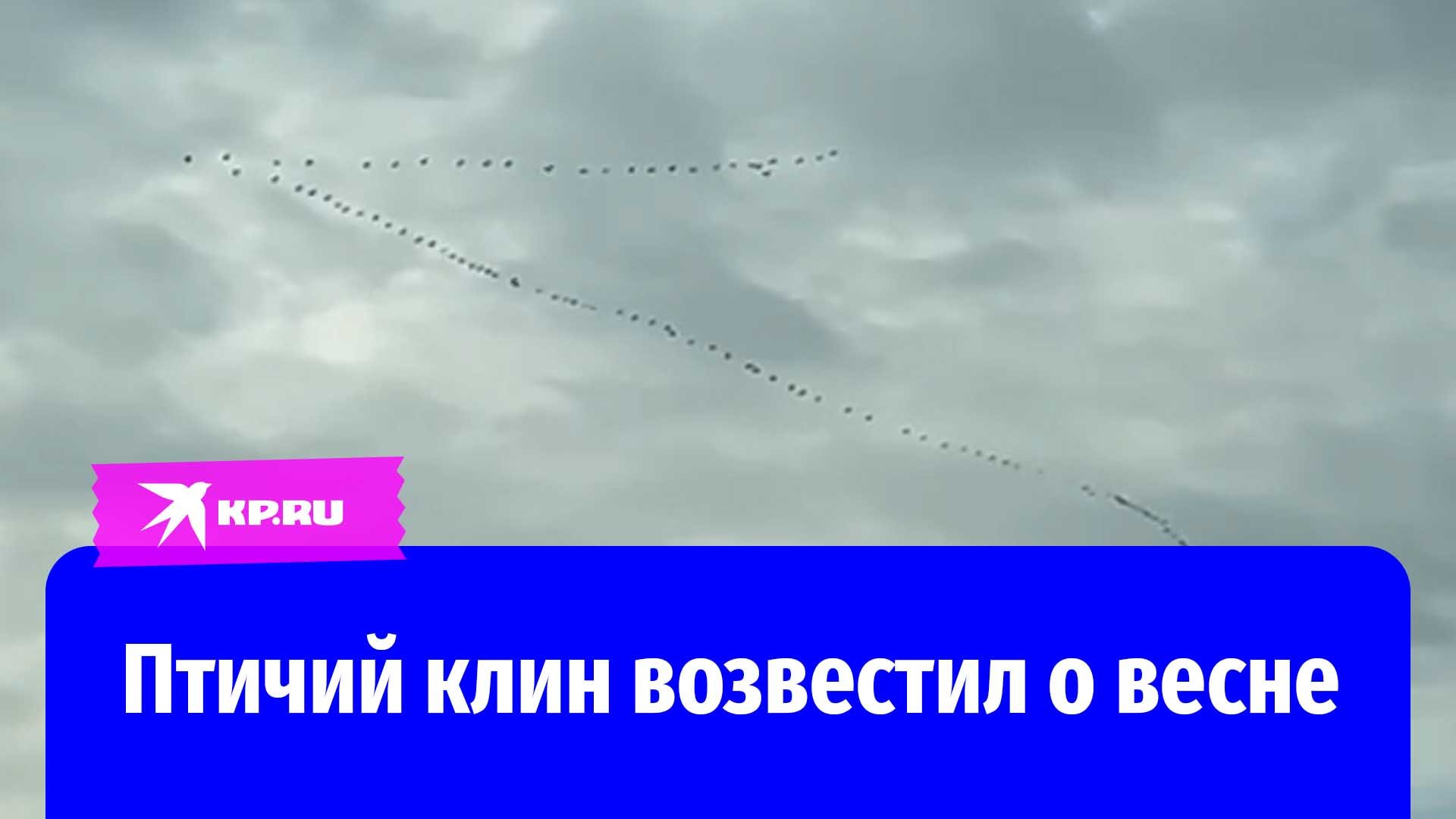 Крутые рамки смерть, и все скитанья миг