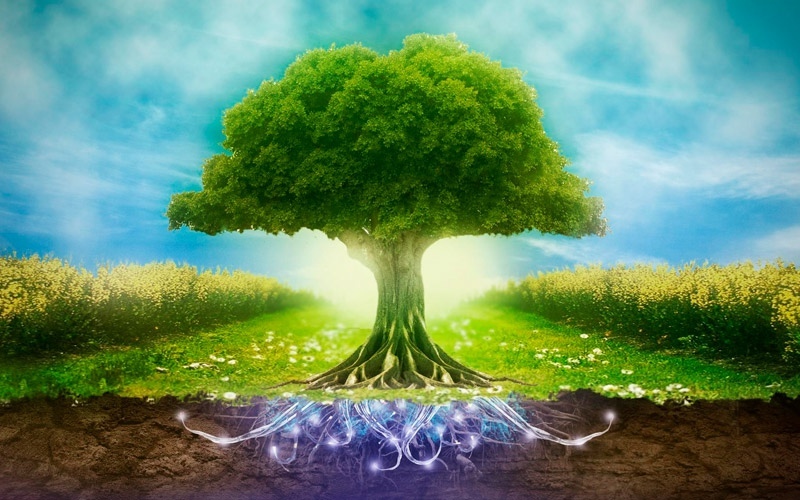 РОДославие Новой Эры 10