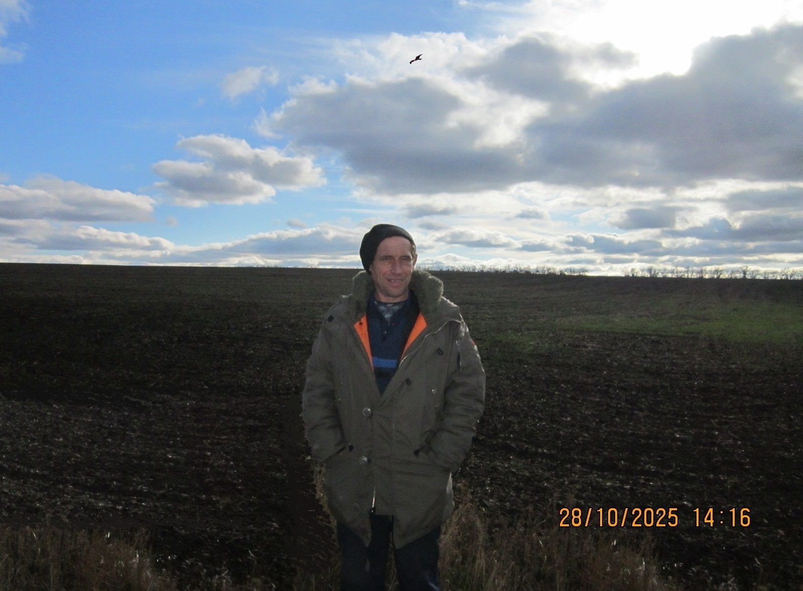 Сингиновские поля и степи