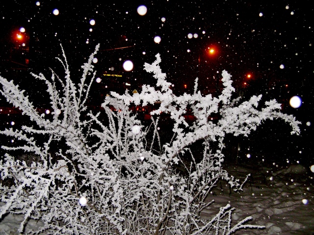 Авторецензия на Гибель группы Дятлова. 3. 0