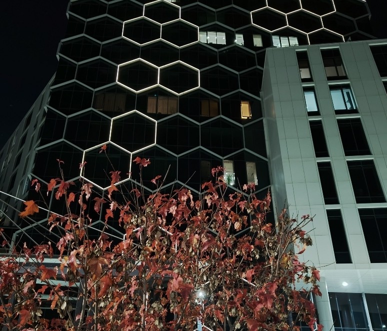 Бархатная тишина