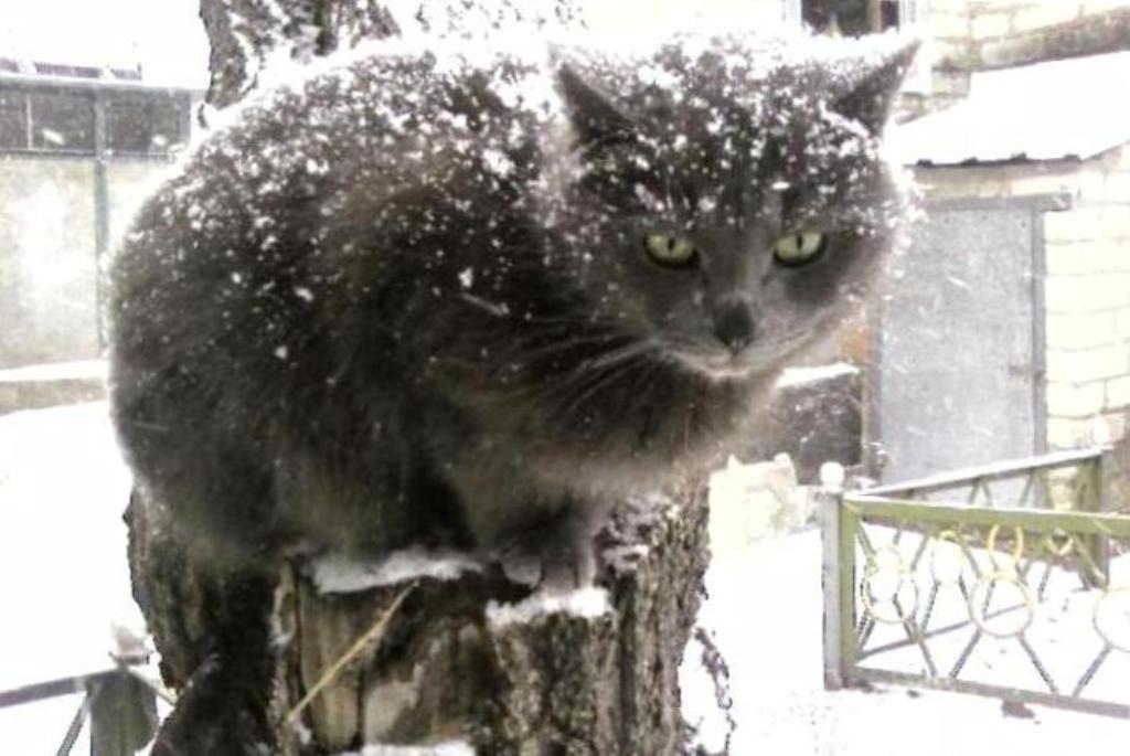 И вот похолодание...