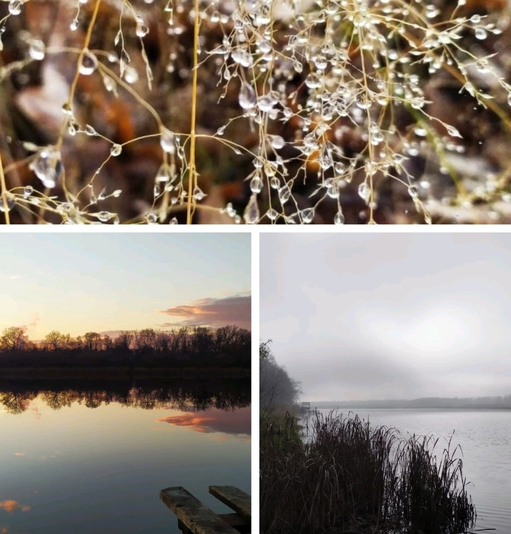 Озёрные откровения