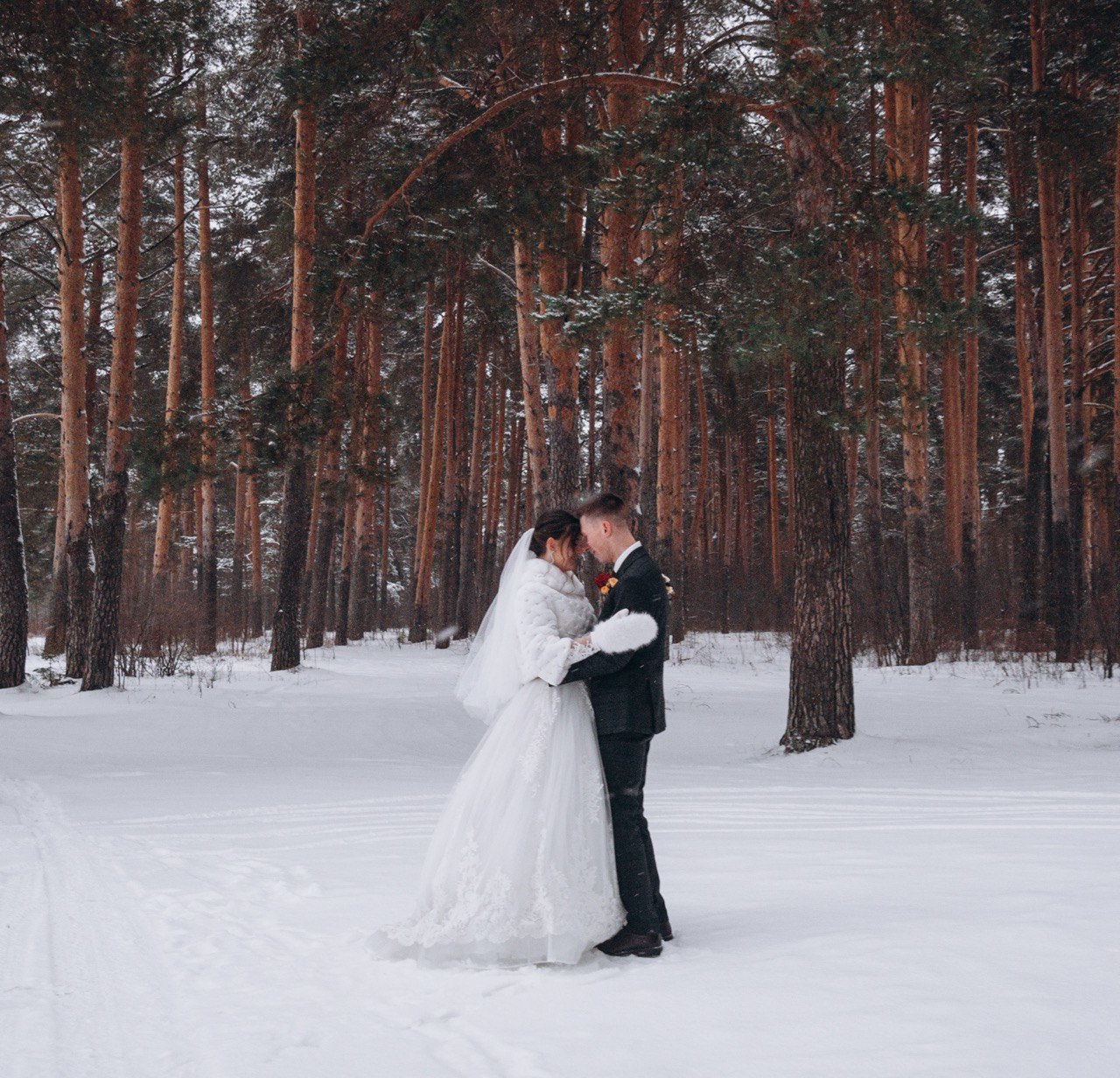 Здравствуй