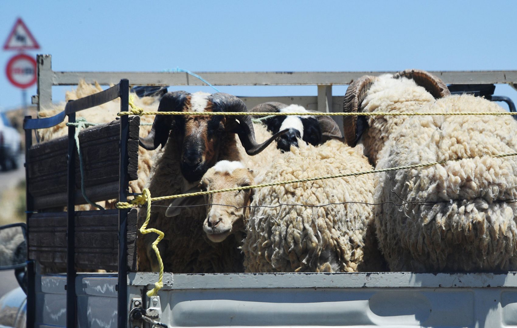 Удивительные превращения часть 2