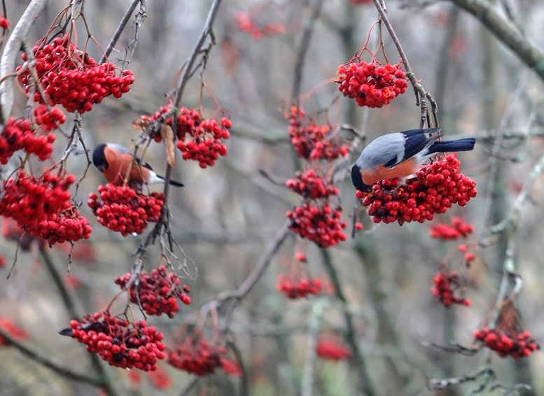 Сквозь дыхание влажной ночи