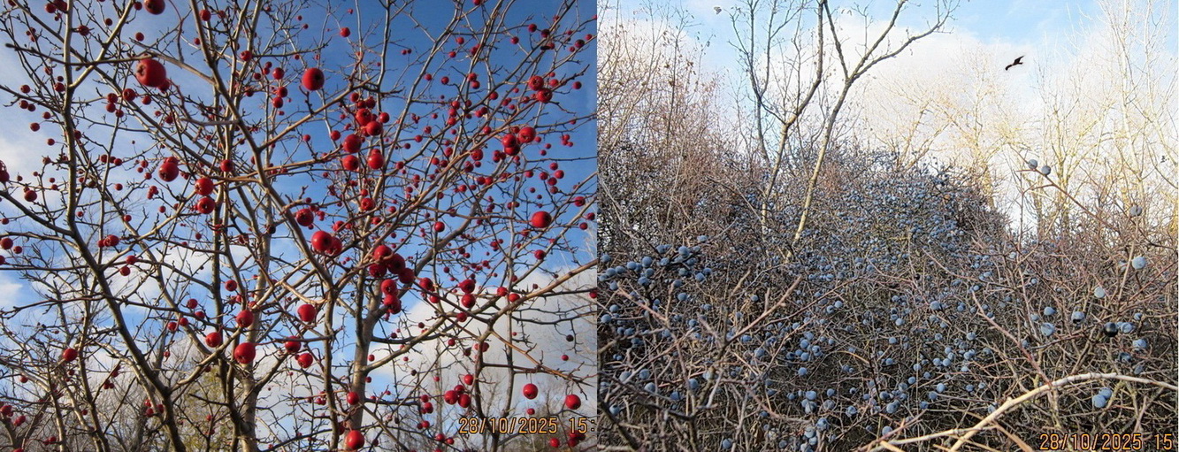 Промчался октябрь