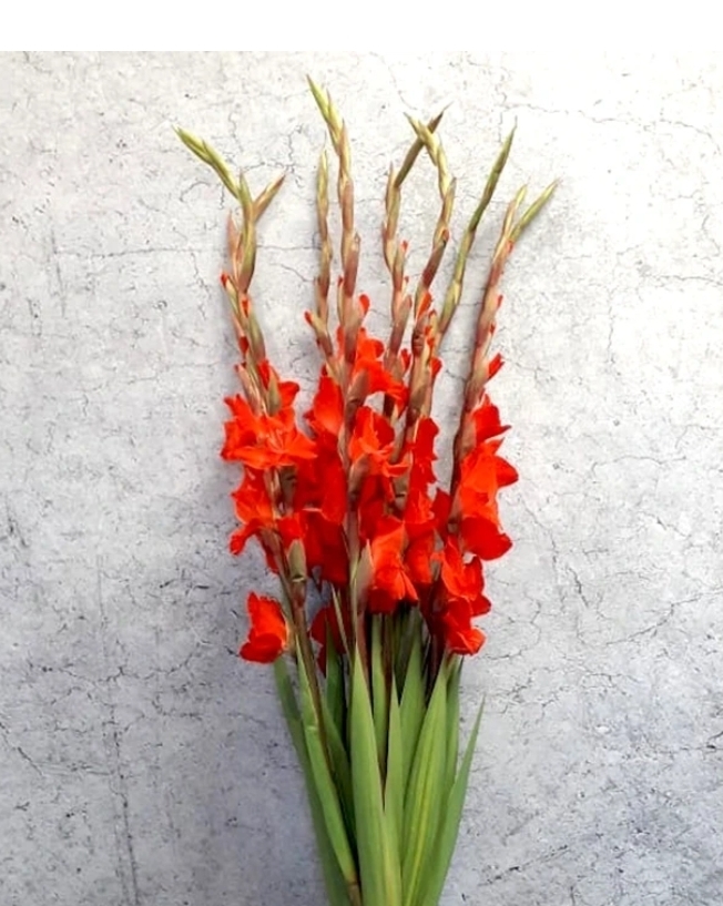 137. Потрясение