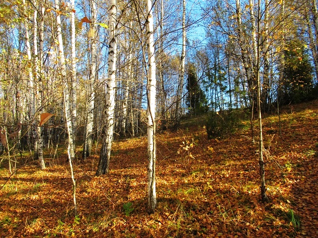 Год пролетает - времена сменяет