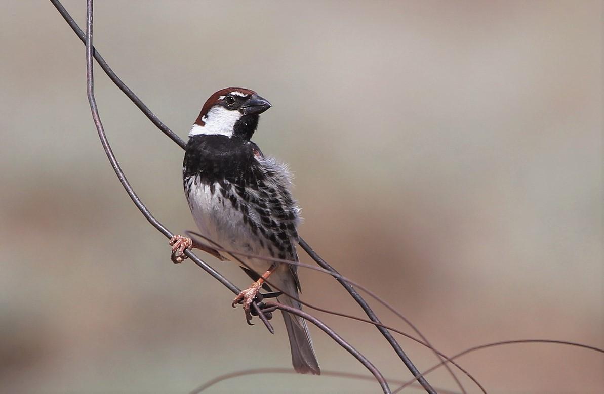 Конец сентября