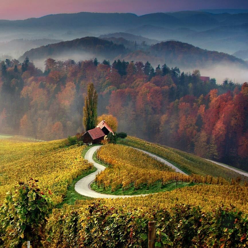 Три карата от Золотой осени