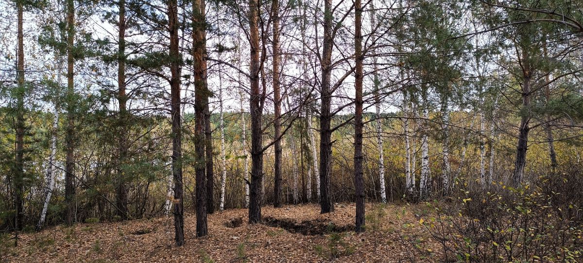 Теория общего информационного поля