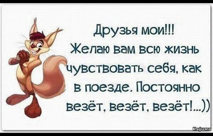 Лишь только бы не мордой об асфальт...