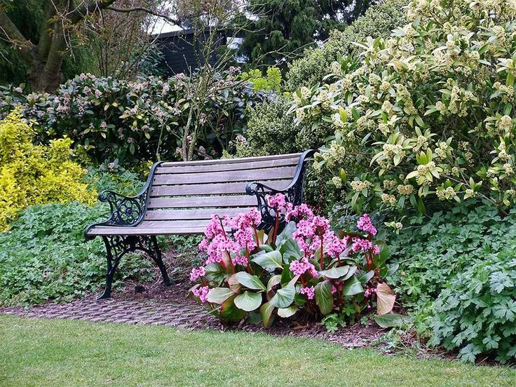 4. 3 Операция Грибарий Парк центр Барселоны