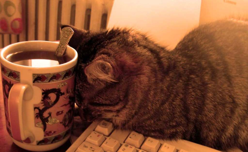 Я чайник новый заварил...