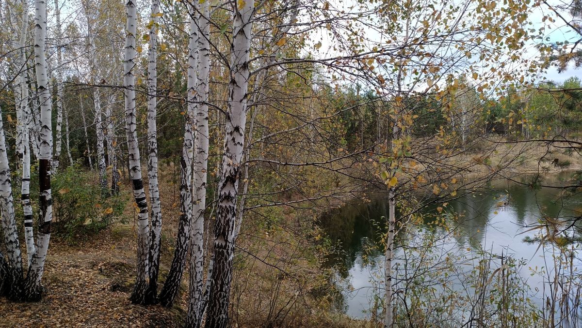 Пространство, время и свойства движения