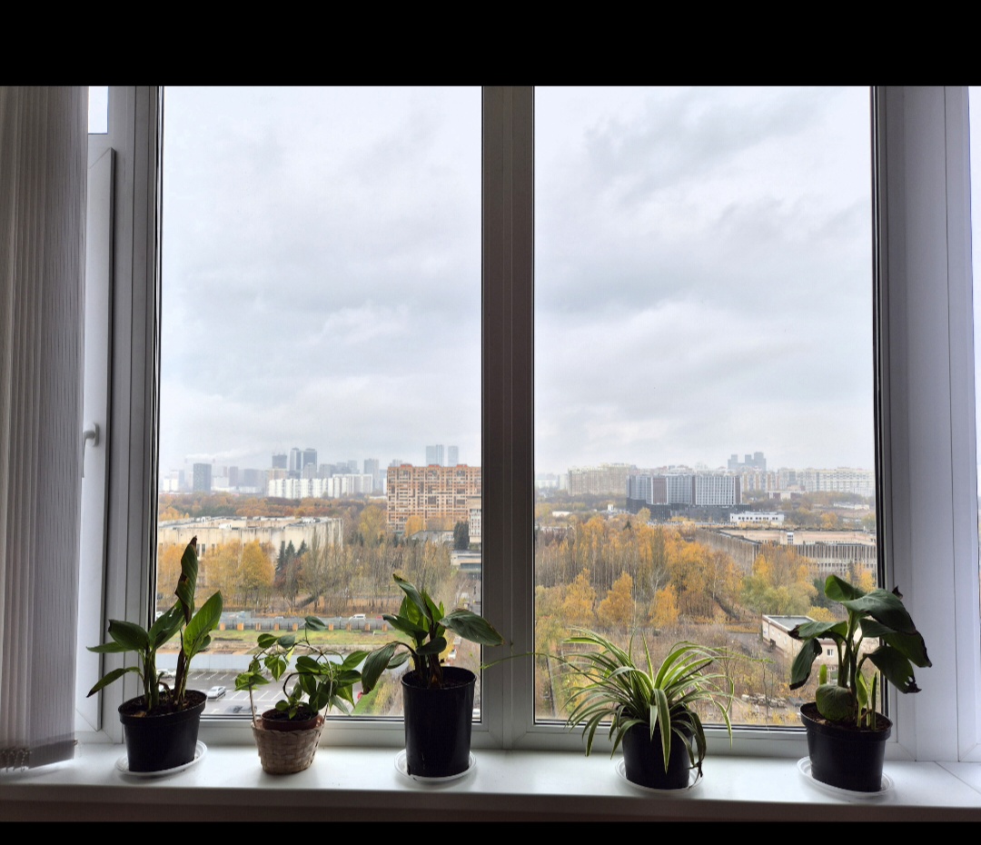 О том как я вышла на работу в брокерский стартап