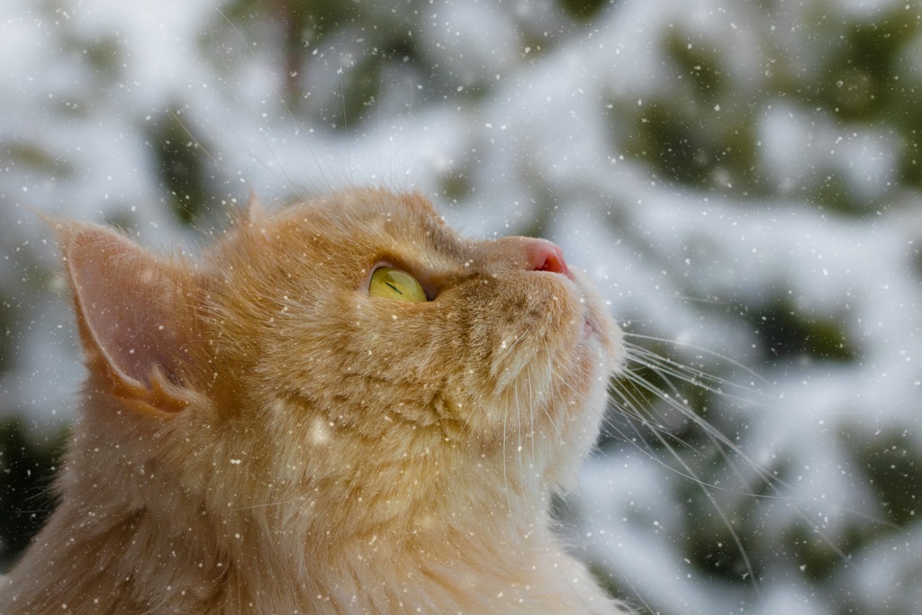 Замечательно. Восхитительно...