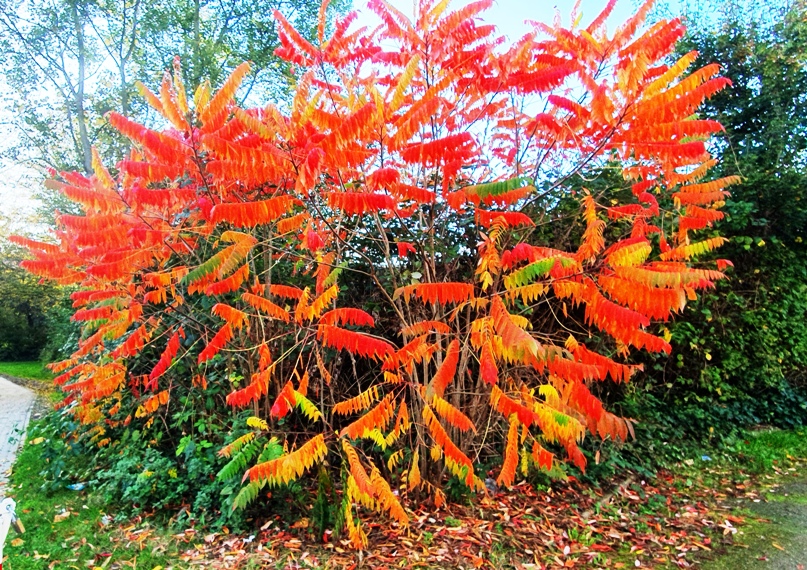 Нужно ли врагов любить?