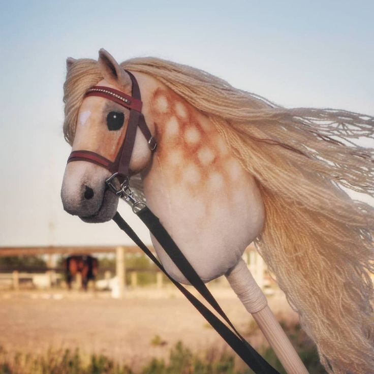 О фермере в Англии. 11-20 глава