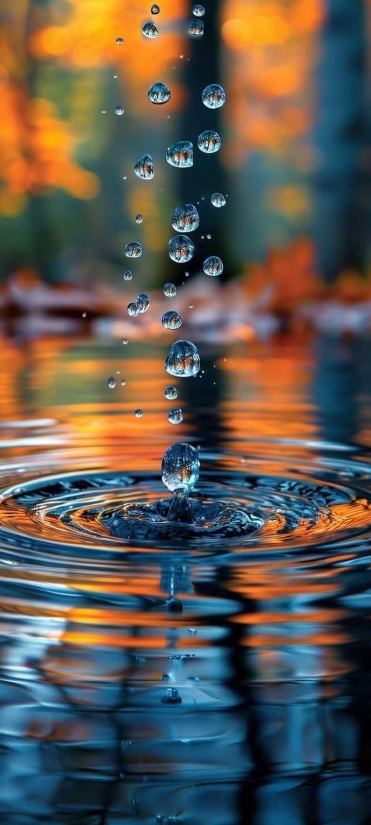 Муму и Лоскуткин