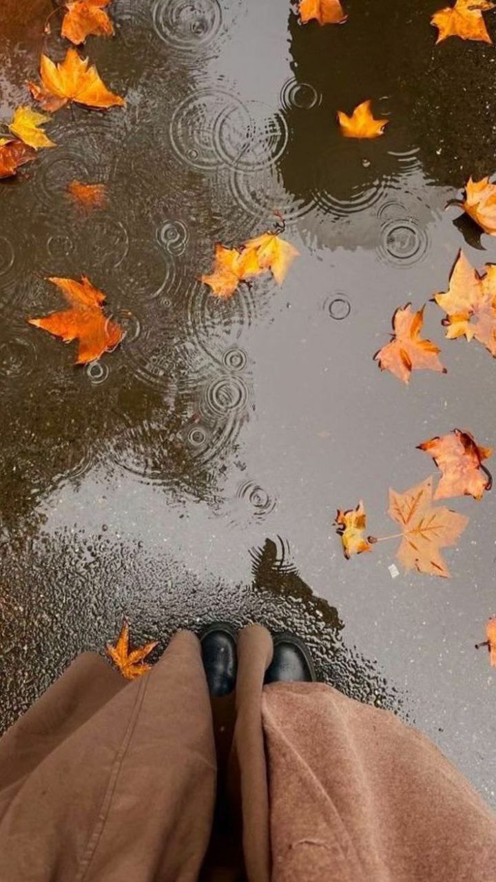 Она провожает октябрь