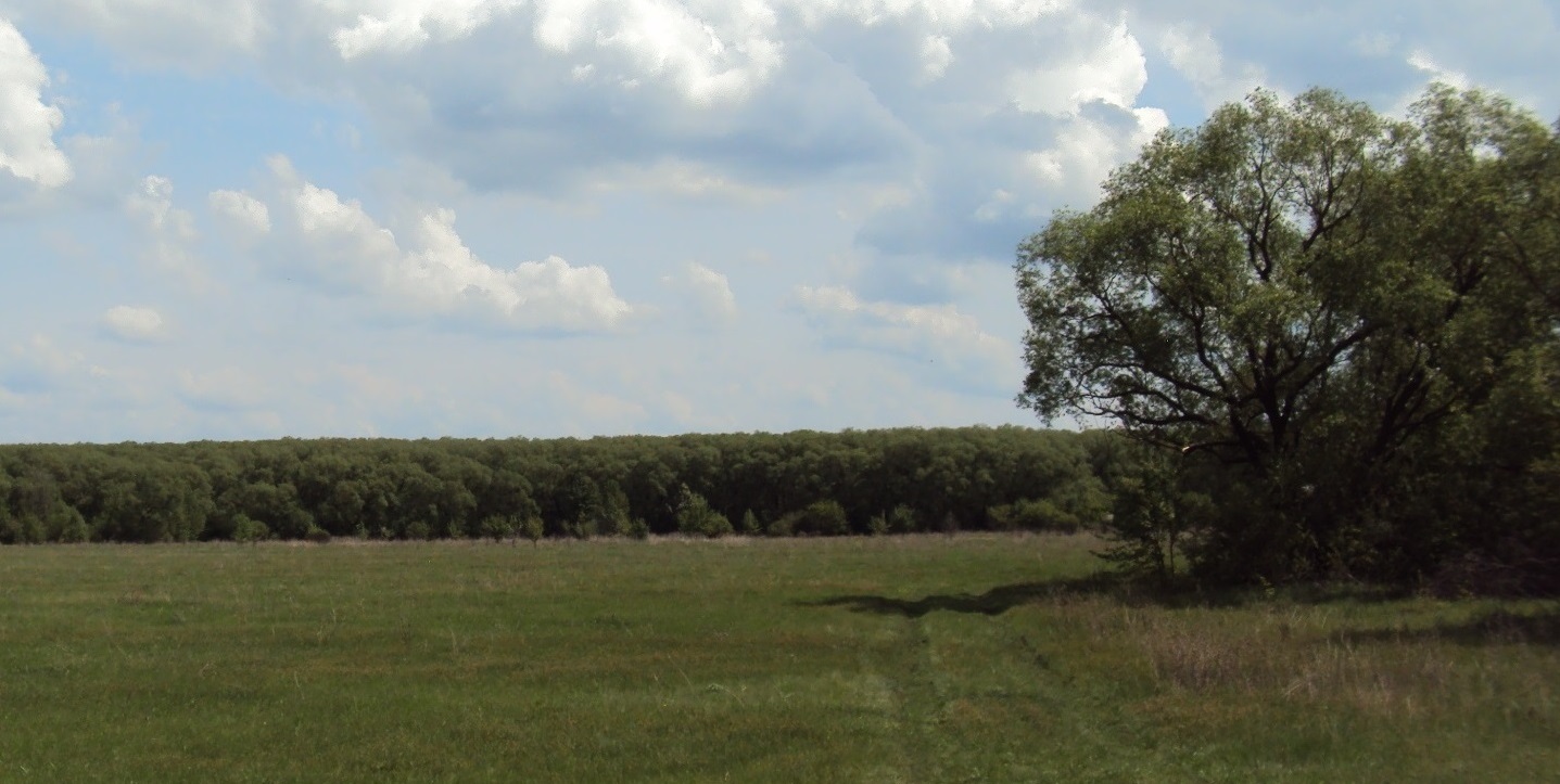 Слёт пожарных