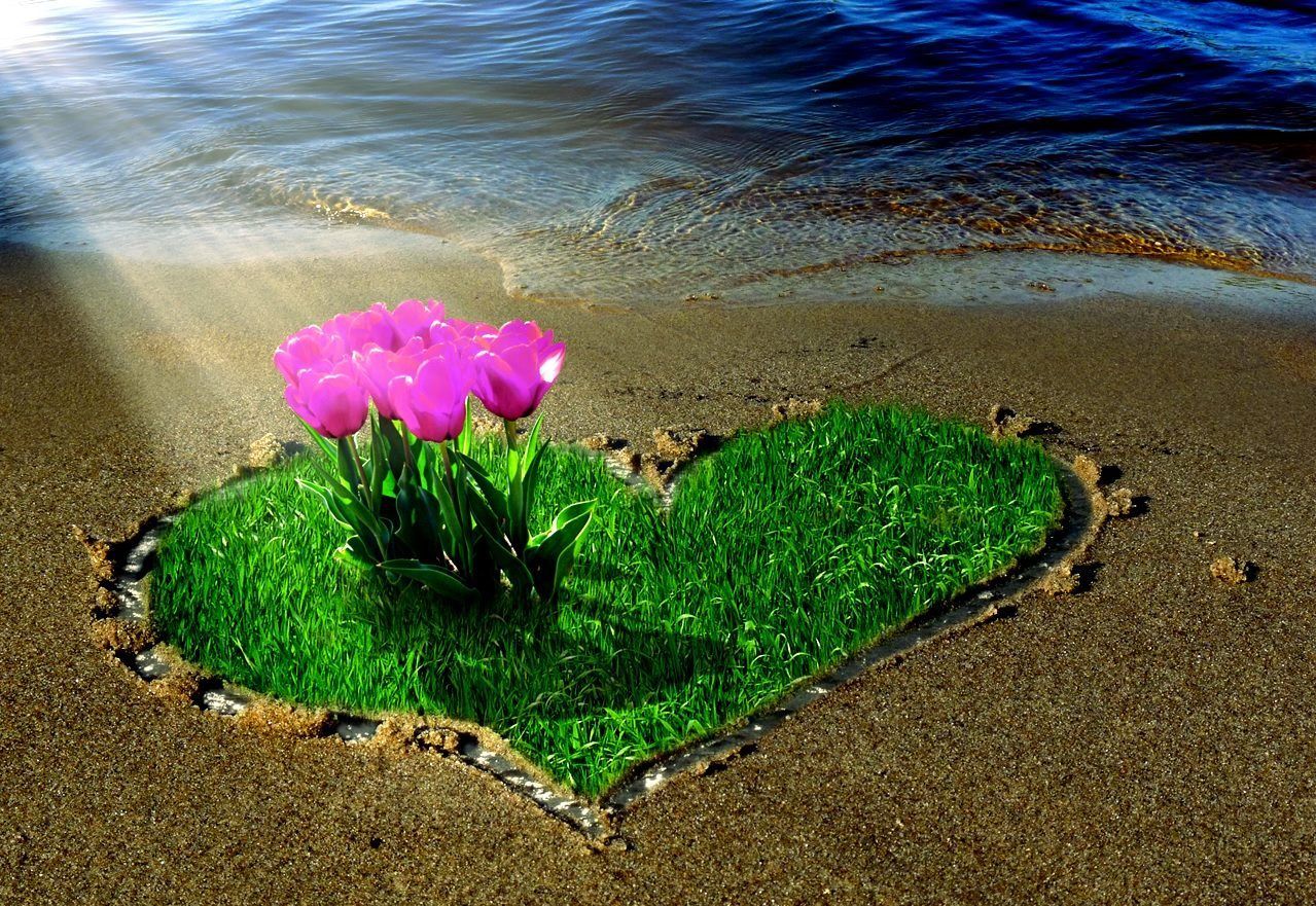 Юность среди девушек цветущих