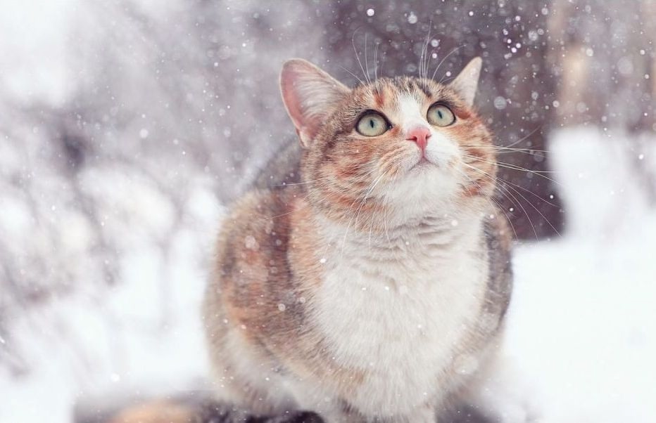 You cannot reach perfection