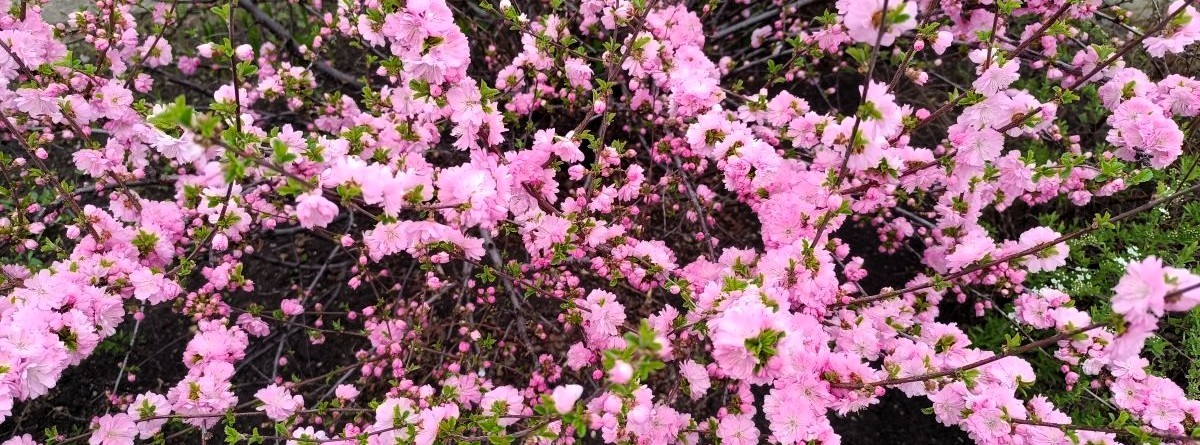 Двенадцать качеств, которыми владеет человек