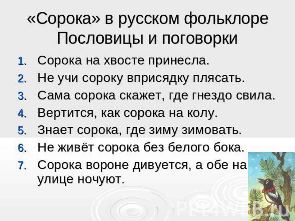 Ответ Сорока на хвосте принесла