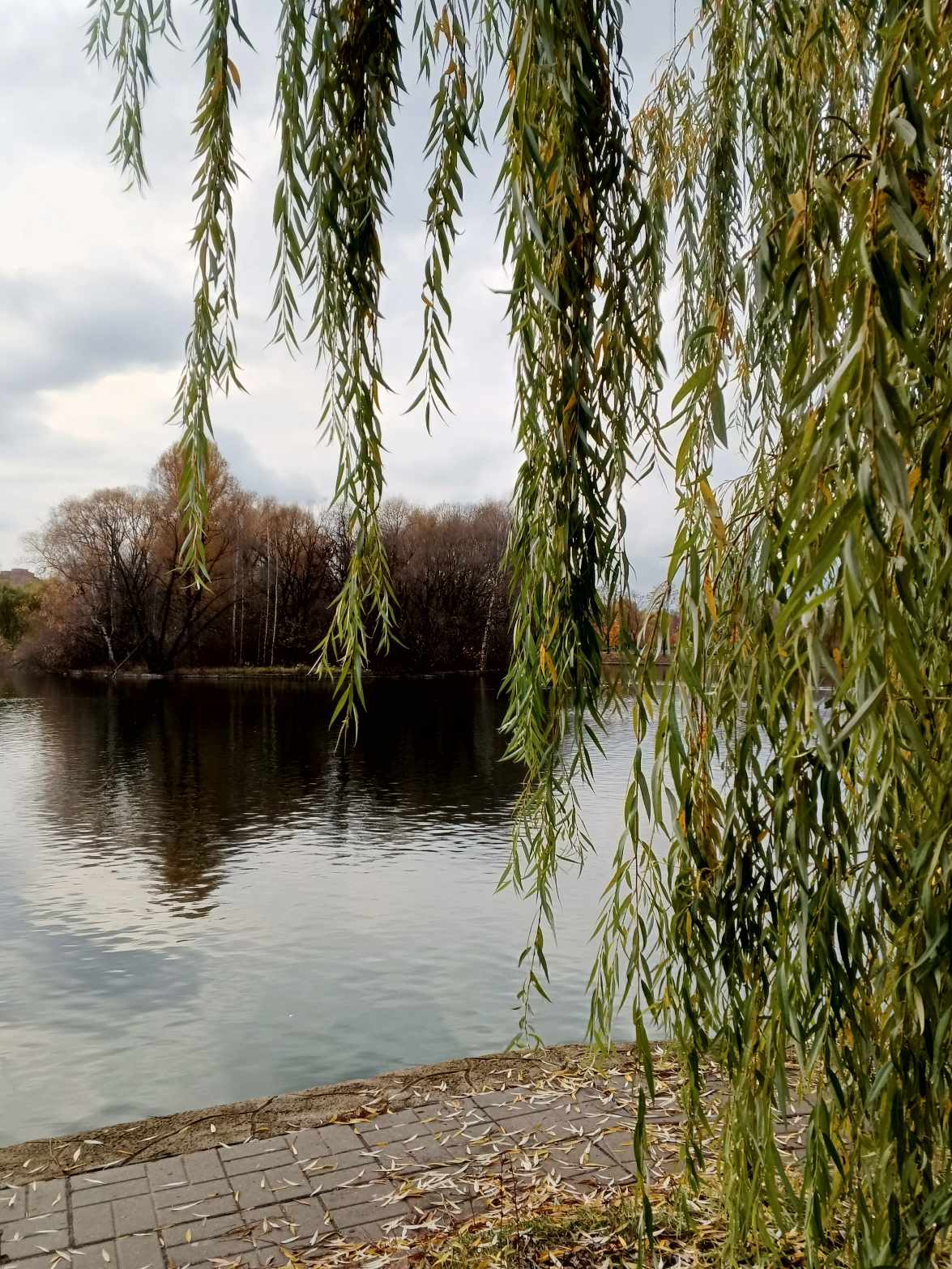 Небо, закат солнца..