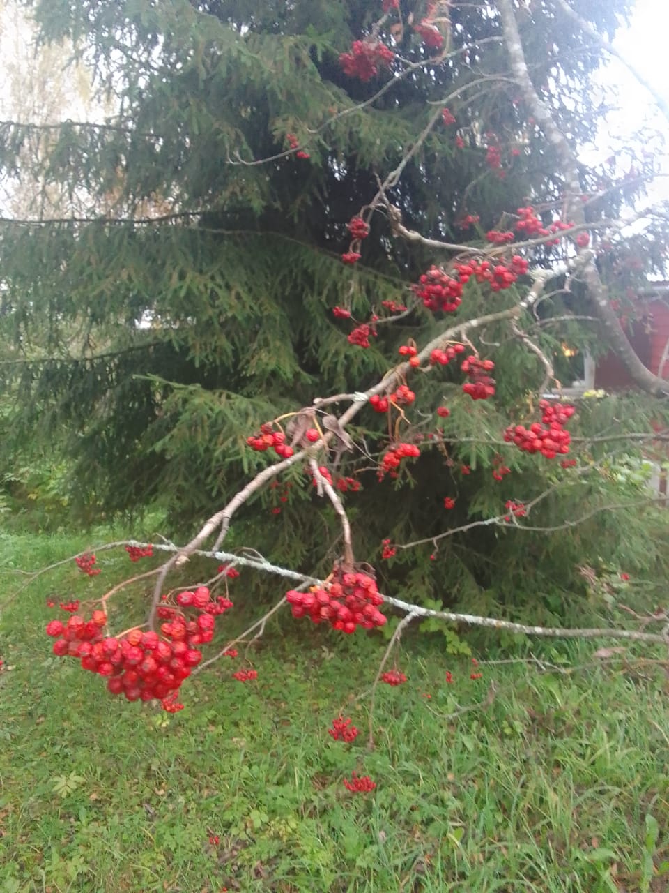Осень 2025. Зарисовки