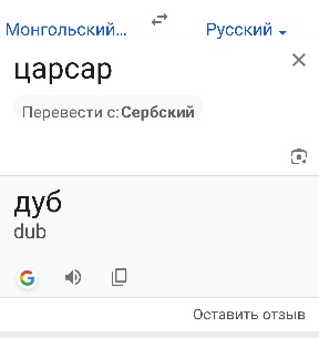 Салтани земли - от повести к сказке